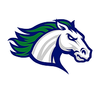 South County High School Football