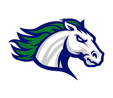 South County High School Football